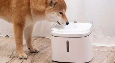 Xiaomi presenta un bebedero inteligente para perros y gatos con múltiples funciones